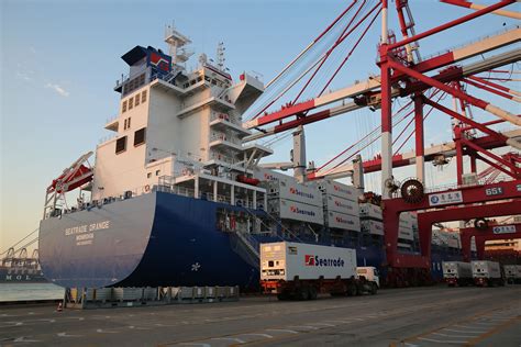 maersk container industry qingdao